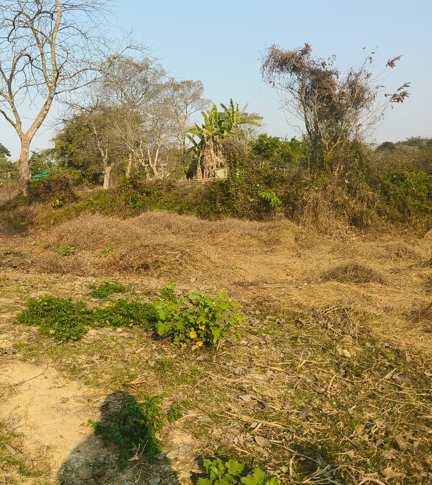 WhatsApp Image 2026-03-06 at 3.42.13 PM