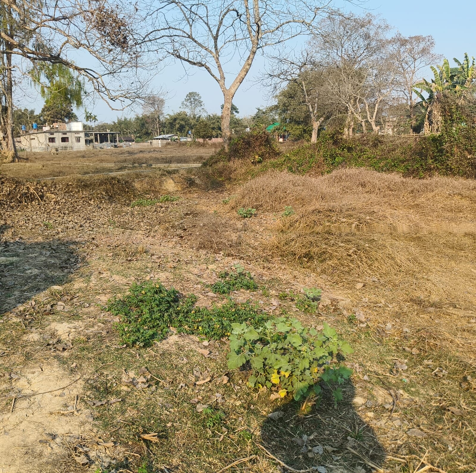 WhatsApp Image 2026-03-06 at 3.42.14 PM (1)