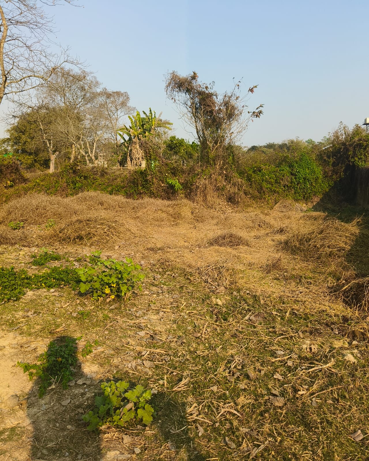 WhatsApp Image 2026-03-06 at 3.42.14 PM